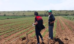 Babaeski’de Parsel Kontrolleri Yapıldı