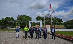 Sahipsiz Hayvanlar İçin Örnek Projede Sona Gelindi