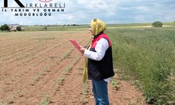 Kırklareli’de Referans Parsel Kontrolleri Sürüyor