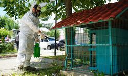 Lüleburgaz’da Kene ve Haşerelere Karşı Noktasal Mücadele