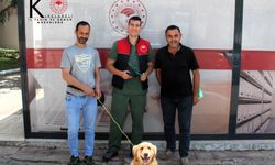 Kayıp Köpek Mikroçip Sayesinde Ailesine Kavuştu