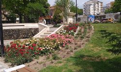 Kırklareli Saatli Park'ta Yaz Güzelliği