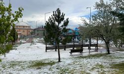 Uşak’ta sağanak ve dolu yağışı etkili oldu