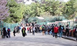 Yırtıcı Adası ile Gaziantep Doğal Yaşam Parkı'nın ziyaretçi sayısı artırılacak