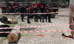 Tonlarca tomruk üzerine devrildi, hastanede hayatını kaybetti