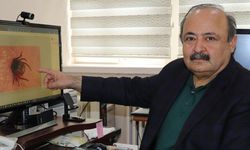 Kendisi kadar yanlış uygulamalar da öldürüyor