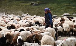 Bir çocuğun sessiz çığlığı: "Hiç oyuncağım olmadı"