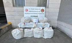 Kapıkule'de televizyon ünitesinde 49 kilo esrar ele geçirildi