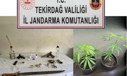 Tekirdağ'da jandarmadan 4 ilçede uyuşturucu ve silah operasyonu