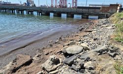 Marmara Denizi'nin Tekirdağ kıyılarında kızıl yosun birikintisi oluştu