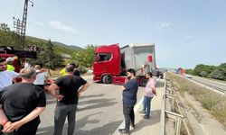 Bir arının yaptığına bak...Yüzlerce kişiyi mağdur etti