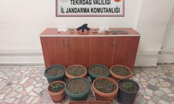 Tekirdağ'da jandarmadan 6 adrese uyuşturucu operasyonu: 11 gözaltı