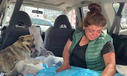 Tedavi için kliniğe getirdiği köpeği ölünce, yaralı sokak köpeğini gözyaşlarıyla sahiplendi