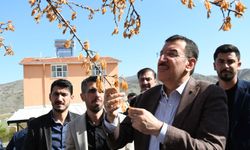 Zirai don destek ödemeleri başlıyor