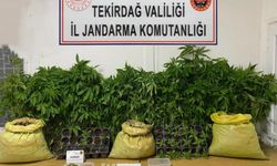 Tekirdağ'da jandarmadan uyuşturucu operasyonları: Çok sayıda madde ele geçirildi