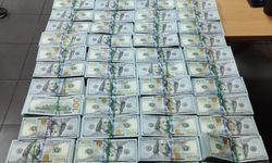 Otobüs buzdolabında 510 bin dolar, tırın su tankında 100 bin euro yakalandı