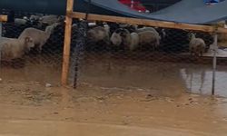 Torbalı'da yağışın ardından kurban pazarını su bastı