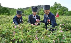 Isparta'da gül hasadı, festival coşkusunu doruklara taşıdı