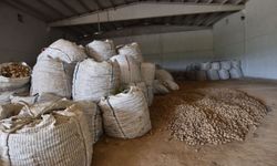 Ahlat'ta binlerce ton patates alıcı bekliyor