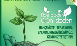 Lüleburgaz Belediyesi’nden Vatandaşlara Fide Desteği