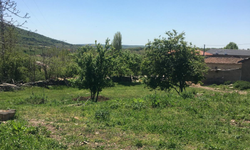 Kırklareli’nin Doğal Güzellikleri Bahar Aylarında Canlanıyor