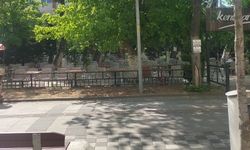 Vazgeçilmez Aktivite: Çay Bahçeleri