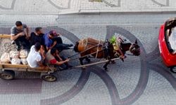 Kırklareli’nde atlı araçlar çevreyi kirletiyor, trafikte tehlike oluşturuyor