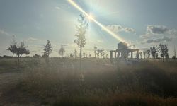 Üsküp Beldesi’nde Yeşil Doku Güçleniyor