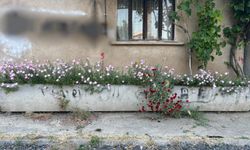 Eski Su Kanalı, Yeni Saksı Oldu