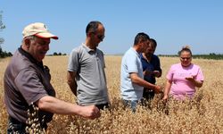Yerli ve Milli Tohumlar İçin Tarla Kontrolleri Yapıldı