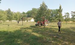 Büyükkarıştıran’da Haşerelere Karşı İlaçlama Sürüyor
