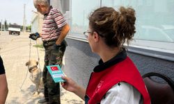 Lüleburgaz’da Kedi ve Köpeklere Kuduz Aşısı Uygulaması