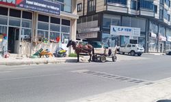 Kırklareli'nde At Arabaları Sokaklardan Çekilmiyor