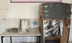 Jandarmadan uyuşturucu ve silah operasyonu