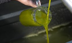 Sıcaktan bunalanlara serinlemek için zeytinyağı önerisi