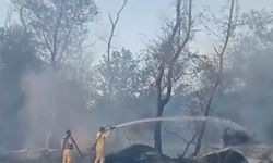 Edirne'de Meriç Nehri kenarındaki adacığa atılan çöplerden yangın çıktı