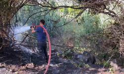 Bodrum’da otluk alandaki yangın kontrol altına alındı