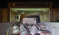 Erciş'te 2 ton kaçak avlanmış balık ele geçirildi