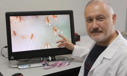 Uzmanlardan 'Yakarca' uyarısı