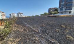 Şehir içindeki 30 dönümlük buğday tarlası alevlere teslim oldu