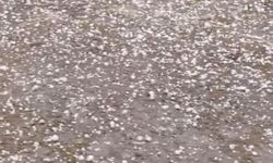 Edirne'de dolu yağışı etkili oldu