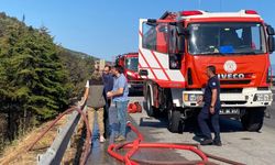 TEM Otoyolu kenarında başlayan yangın ormana sıçradı: 2 saatte söndürüldü