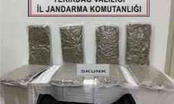 Tekirdağ'da otoyol gişelerinde 12 kilogram skunk ele geçirildi