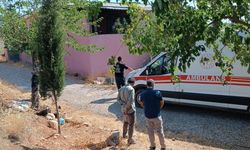 Eşini silahla vurarak öldürdü