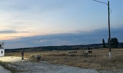 Geçim Doğayla İç İçe Sürüyor