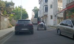 At Arabaları Hâlâ Trafikte