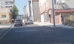 Kırklareli’nde At Arabaları Trafiği Aksatıyor