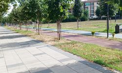 Sıcaklar Çimleri Kuruttu, Millet Bahçesi Sarardı