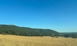 Kırklareli’nin Doğasında Yaz Güzelliği