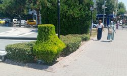 Atatürk Anıtı Önünde Estetik Dokunuş